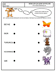 okul öncesi kavram gelişim çalışmaları, renk kavramı, renkleri eşleştir çalışmaları